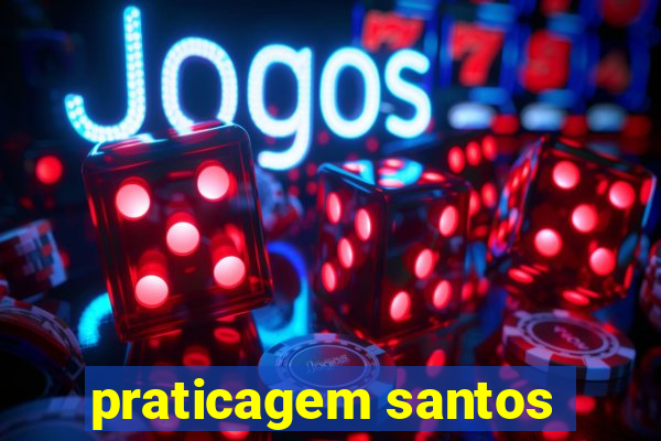 praticagem santos